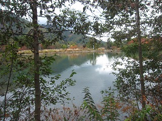 駒ヶ池の風景