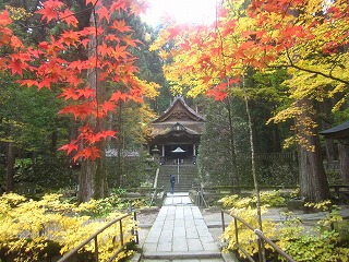 光前寺参道