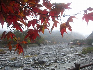 太田切川と紅葉