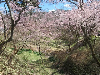 高遠城址公園・堀の風景