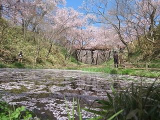高遠城址公園