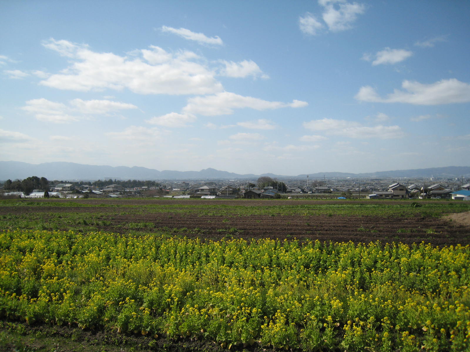 �R�ӂ̓��̏t�̕��i