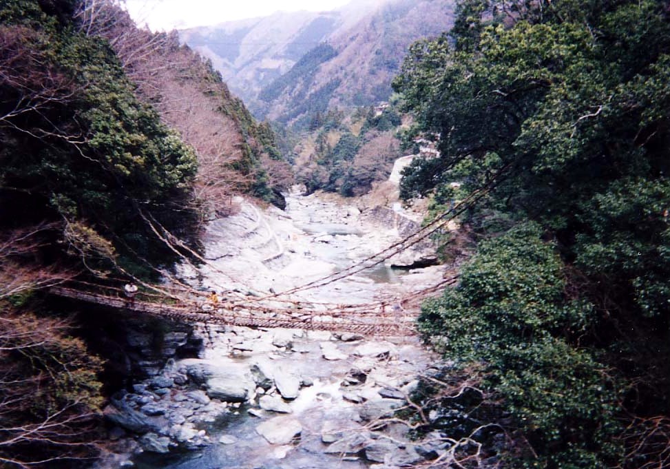 �c�J�̂����狴