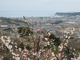 �암�~�т��瑾���m��]��