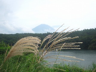 精進湖と富士山
