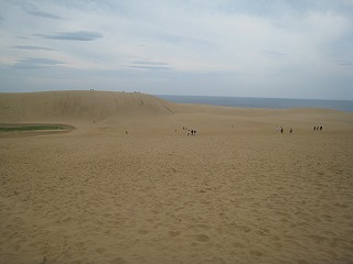 鳥取砂丘の雄大な風景