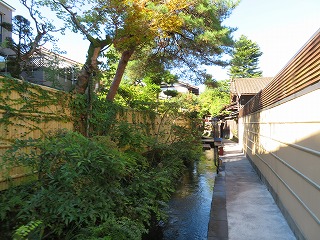 郡上八幡・いがわ小径の風景