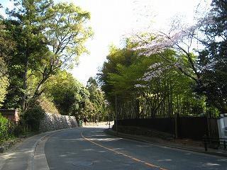 ���ʂ����̘H