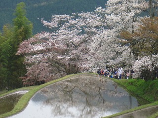 �O���C�̍�