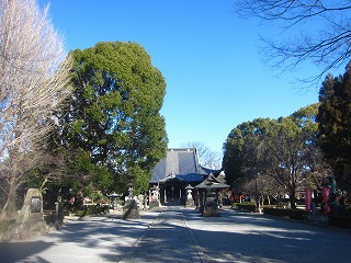 鑁阿寺、新春の風景