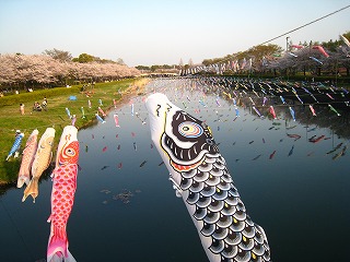 �����̂ڂ�̗��܂�ƍ�