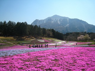 �r�R�����̎ō�