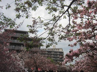 ��㑢���ǁE���̒ʂ蔲��