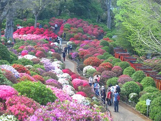 ���Ð_�Ђ̂�