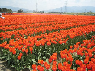 �ܐ�s�E�`���[���b�v��