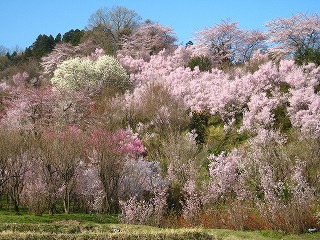 �Ԍ��R����