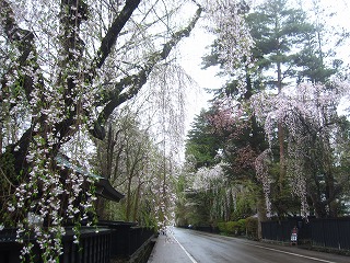 �p�ق̃V�_���U�N��