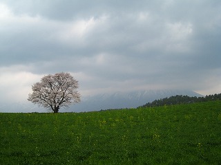 �����_��̈�{��