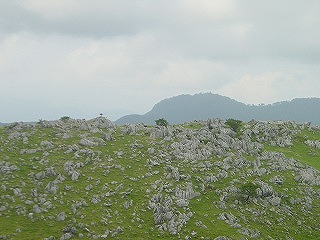 四国カルスト・姫鶴平の風景