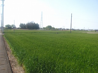 ���H�̕��i