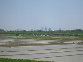 �r��[�̐��c���炳�����ܐV�s�S��]��