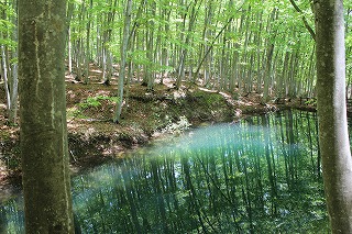 ���l�т̕��i