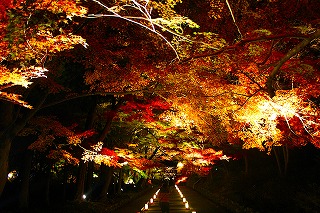 毘沙門堂門跡の紅葉の風景