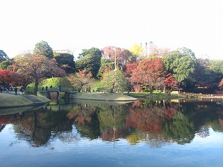 小石川後楽園、初冬の色づく風景