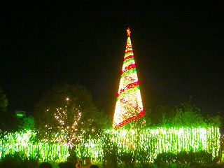 あしかがフラワーパーク・イルミネーションの風景