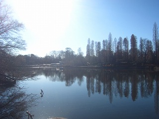 新春の井の頭恩賜公園の風景