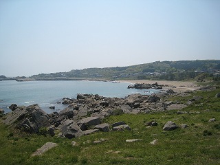 �퍷�C�݁A���Ă̕��i