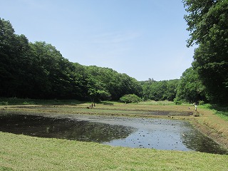 ��R�k�E�Z���R�����A�J�n�c�̕��i