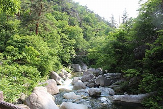 ���勬�A���Ă̕��i