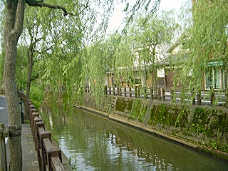 佐原、小野川沿いのしなやかな風景