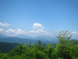 初夏の高尾山頂の風景