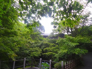 東福寺・通天橋の新緑の風景