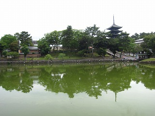 猿沢池から興福寺・五重塔を望む風景