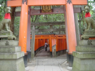 伏見稲荷大社、千本鳥居の風景