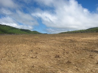 ���c��̎������i