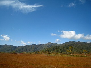 尾瀬ヶ原、下田代の草紅葉の風景