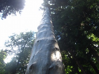 諏訪大社下社春宮の御柱の風景