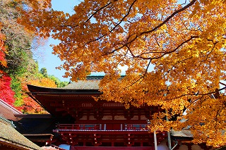 紅葉の談山神社・楼門の風景