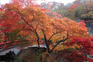 伊香保温泉、河鹿橋の紅葉の風景