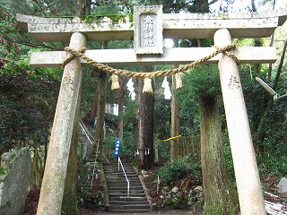 金持神社、参道と鳥居の風景