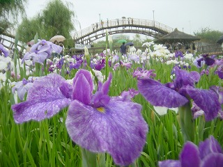 ������������߉�