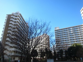 都営光が丘アパートの風景
