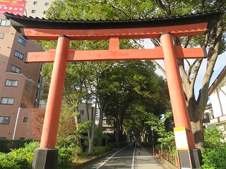 武蔵一宮・氷川神社参道