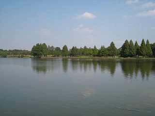 水元公園、秋の穏やかな風景