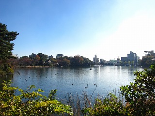 洗足池公園、初冬の風景