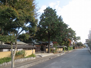 盆栽村、晩秋の風景